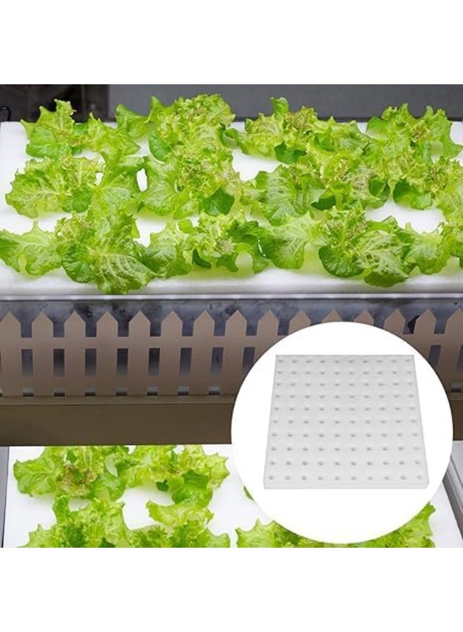 طقم قطع إسفنجية للزراعة المائية، إسفنجات زراعة النباتات بدون تربة، دفيئة لنمو البراعم الصغيرة ونمو البلاستيك، أخضر ، 400 قطعة - Image 2